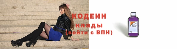 прущая мука Арсеньев