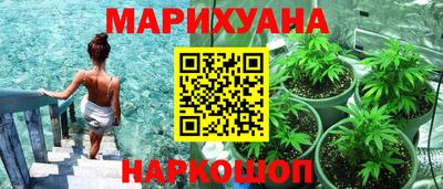 крисы Дубна