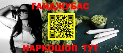крисы Дубна