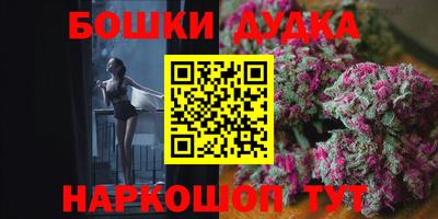 крисы Дубна