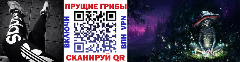 Псилоцибиновые грибы Psilocybine cubensis  сколько стоит  Междуреченск 