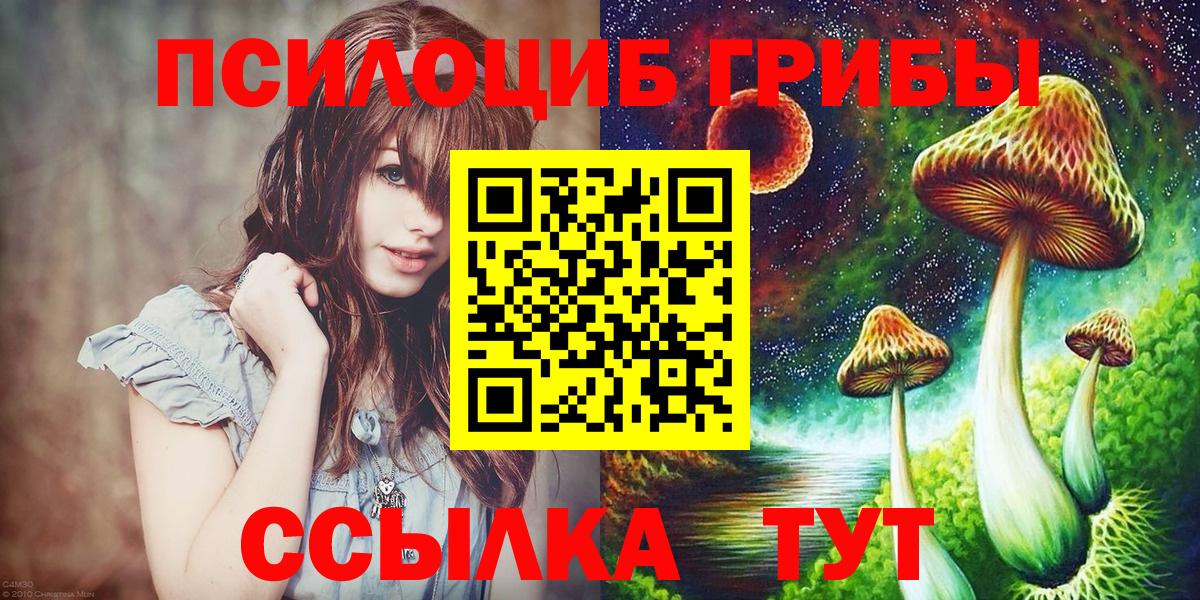 Псилоцибиновые грибы Psilocybe Междуреченск